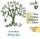 Picture of Music for Children by Betty Roe:  The Family Tree and other works Artist: New London Children's Choir