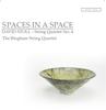 Picture of SPACES IN A SPACE is David Stoll's fourth String Quartet.  Played by the Bingham String Quartet, it explores ideas arising from the making and exhibiting of beautiful ceramic pots.