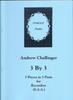 Picture of Sheet music  for soprano recorder, alto recorder and alto recorder by Andrew Challinger. Three contrasted pieces for recorder trio - descant and two trebles. They were written with young players in mind but should be suitable for keen amateurs of any age. Intermediate standard.