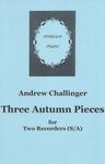 Picture of Sheet music  by Andrew Challinger. The third in a series of seasonal duets for recorders. This one is for descant and treble. Each piece explores a distinctive rhythm pattern. Not particularly hard but will need some work on the ensemble.
