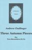 Picture of Sheet music  by Andrew Challinger. The third in a series of seasonal duets for recorders. This one is for descant and treble. Each piece explores a distinctive rhythm pattern. Not particularly hard but will need some work on the ensemble.
